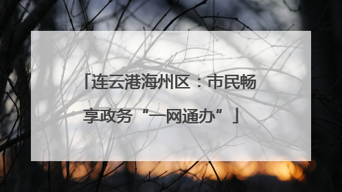 连云港海州区：市民畅享政务“一网通办”