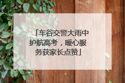 车谷交警大雨中护航高考，暖心服务获家长点赞