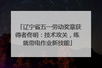 辽宁省五一劳动奖章获得者佟明：技术攻关，练就带电作业新技能