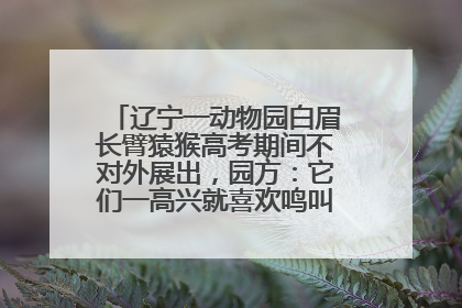 辽宁一动物园白眉长臂猿猴高考期间不对外展出，园方：它们一高兴就喜欢鸣叫，怕影响考试
