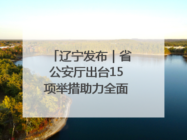 辽宁发布｜省公安厅出台15项举措助力全面振兴新突破三年行动决胜之战