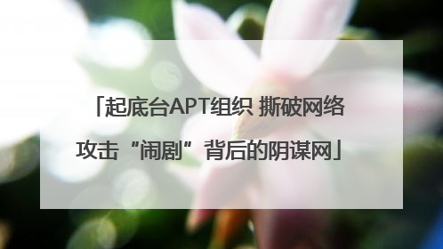 起底台APT组织 撕破网络攻击“闹剧”背后的阴谋网
