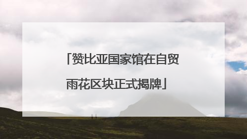 赞比亚国家馆在自贸雨花区块正式揭牌