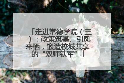 走进常德学院（三）：政策筑基、引凤来栖，锻造校城共享的“双师铁军”