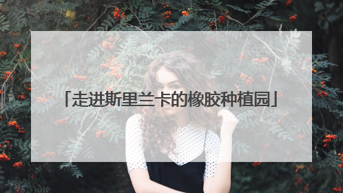 走进斯里兰卡的橡胶种植园