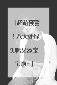 超萌预警！八大处绿头鸭又添宝宝啦~