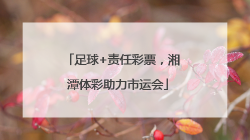足球+责任彩票，湘潭体彩助力市运会