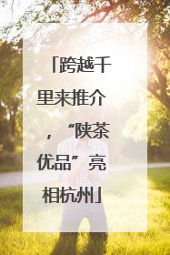 跨越千里来推介，“陕茶优品”亮相杭州