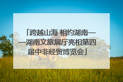 跨越山海 相约湖南——湖南文旅展厅亮相第四届中非经贸博览会