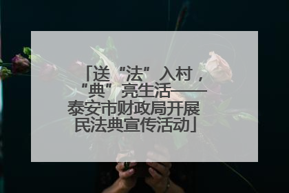 送“法”入村，“典”亮生活——泰安市财政局开展民法典宣传活动