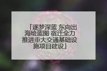 逐梦深蓝 东向出海绘蓝图 宿迁全力推进重大交通基础设施项目建设