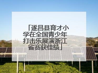 遂昌县育才小学在全国青少年打击乐展演浙江省赛获佳绩
