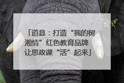 道县：打造“我的树湘情”红色教育品牌 让思政课“活”起来