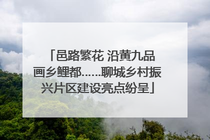 邑路繁花 沿黄九品 画乡鲤都……聊城乡村振兴片区建设亮点纷呈