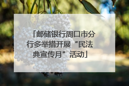 邮储银行周口市分行多举措开展“民法典宣传月”活动