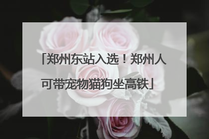 郑州东站入选！郑州人可带宠物猫狗坐高铁