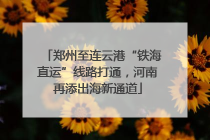 郑州至连云港“铁海直运”线路打通，河南再添出海新通道