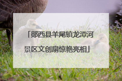 郧西县羊尾镇龙潭河景区文创扇惊艳亮相