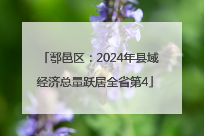 鄠邑区：2024年县域经济总量跃居全省第4