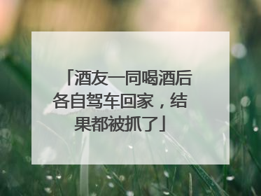 酒友一同喝酒后各自驾车回家，结果都被抓了