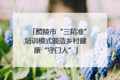 醴陵市“三精准”培训模式锻造乡村健康“守门人”