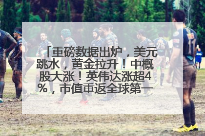重磅数据出炉，美元跳水，黄金拉升！中概股大涨！英伟达涨超4%，市值重返全球第一！黄仁勋计划出售至多600万股股票