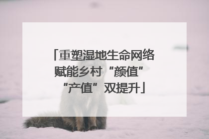 重塑湿地生命网络 赋能乡村“颜值”“产值”双提升