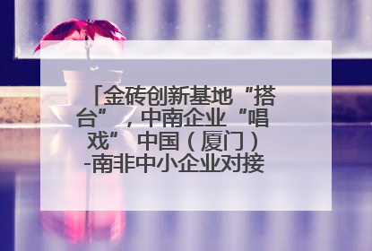 金砖创新基地“搭台”，中南企业“唱戏” 中国（厦门）-南非中小企业对接会在厦举办