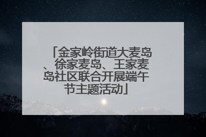 金家岭街道大麦岛、徐家麦岛、王家麦岛社区联合开展端午节主题活动