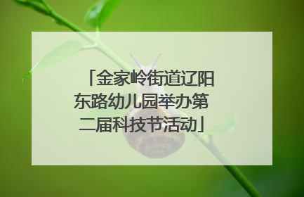 金家岭街道辽阳东路幼儿园举办第二届科技节活动