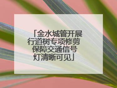 金水城管开展行道树专项修剪 保障交通信号灯清晰可见
