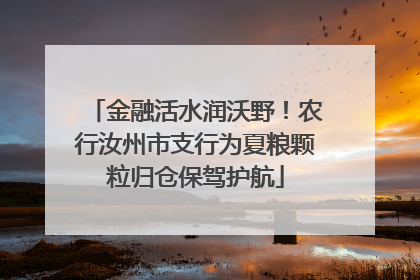 金融活水润沃野！农行汝州市支行为夏粮颗粒归仓保驾护航