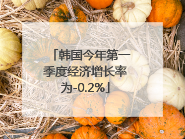 韩国今年第一季度经济增长率为-0.2%