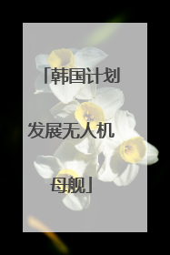 韩国计划发展无人机母舰