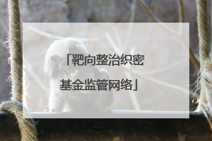 靶向整治织密基金监管网络