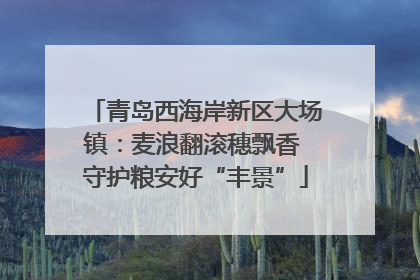 青岛西海岸新区大场镇：麦浪翻滚穗飘香 守护粮安好“丰景”