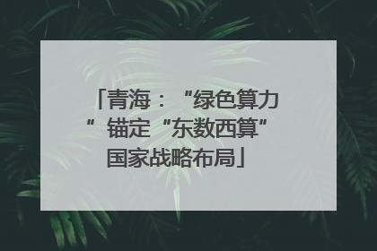 青海：“绿色算力”锚定“东数西算”国家战略布局