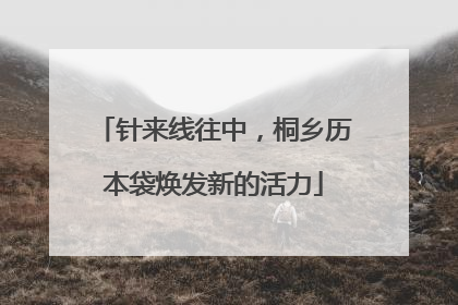 针来线往中，桐乡历本袋焕发新的活力