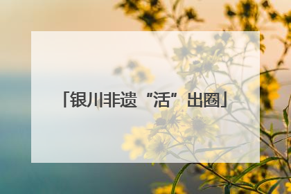 银川非遗“活”出圈