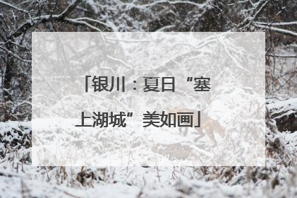 银川：夏日“塞上湖城”美如画