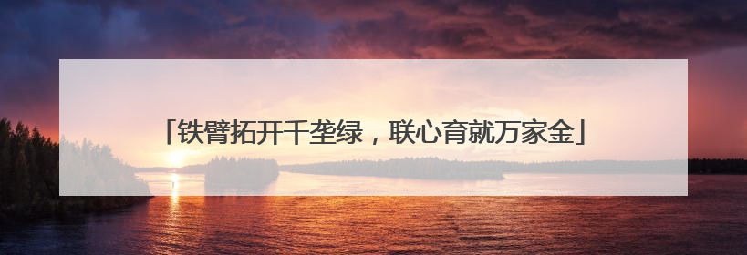 铁臂拓开千垄绿，联心育就万家金