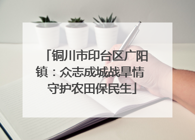 铜川市印台区广阳镇：众志成城战旱情 守护农田保民生