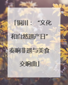 铜川：“文化和自然遗产日”奏响非遗与美食交响曲