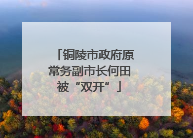 铜陵市政府原常务副市长何田被“双开”