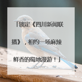 锁定《四川新闻联播》，相约一场麻辣鲜香的蜀地漫游！