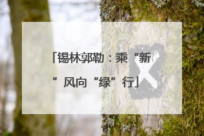 锡林郭勒：乘“新”风向“绿”行