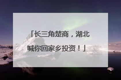 长三角楚商，湖北喊你回家乡投资！