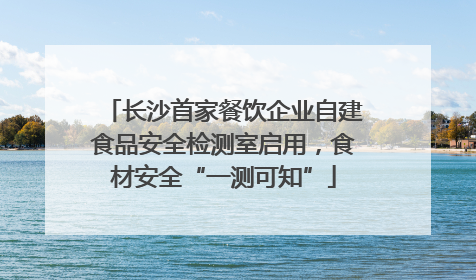 长沙首家餐饮企业自建食品安全检测室启用，食材安全“一测可知”
