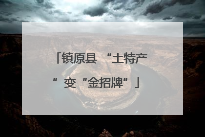 镇原县 “土特产”变“金招牌”