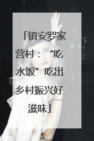 镇安罗家营村：“吃水饭”吃出乡村振兴好滋味